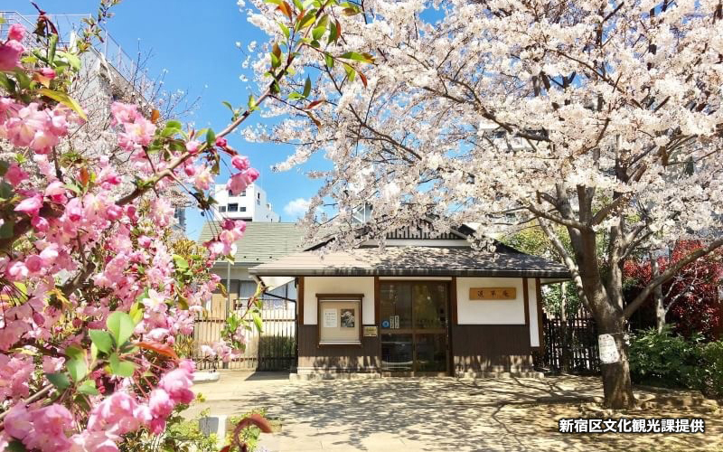 漱石公園内にある道草庵。初版本の複製や年のパネルが展示されている。
