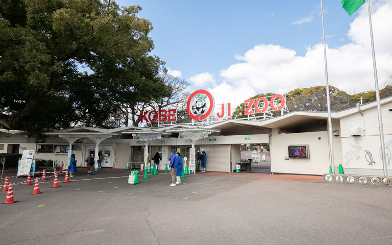 動物園正面ゲート前は広々しており、駅や公園の駐車場からもフラットな路面で安全に入場することができる。