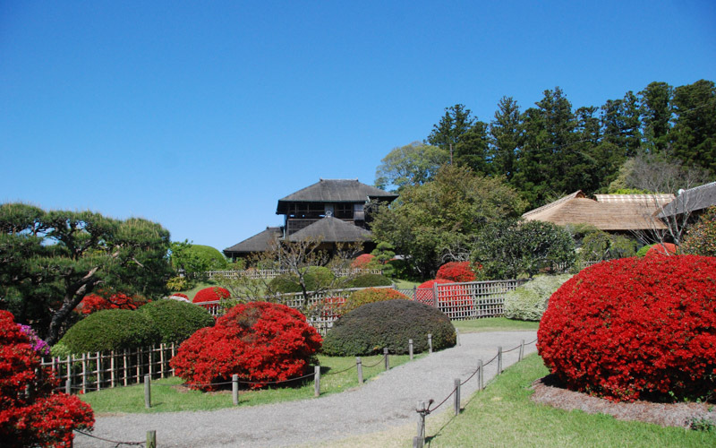 4月下旬～5月上旬のつつじの開花時期も見応えがある。写真提供：偕楽園公園センター