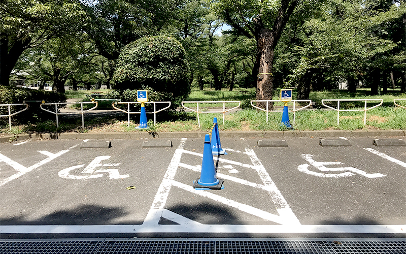 雑木林（バードサンクチュアリ）や桜の園、「江戸東京たてもの園」の近くにある第一駐車場。	