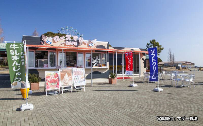 マザー牧場のスポット施設詳細 介護アンテナ