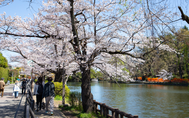 石神井公園 のスポット施設詳細 介護アンテナ