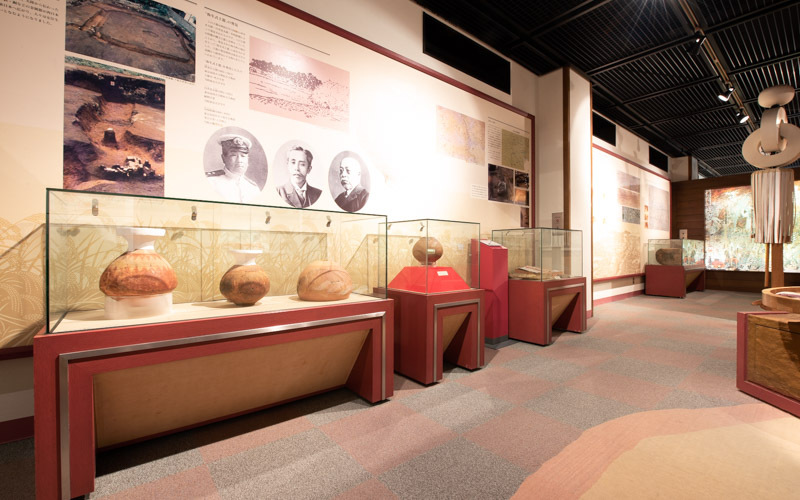 弥生時代の土器の展示スペース。国指定・重要文化財「本郷弥生町出土壺形土器」（複製）も展示してある。