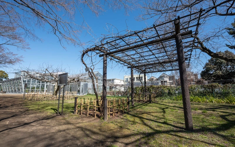 東京大学大学院理学系研究科附属植物園（小石川植物園）の