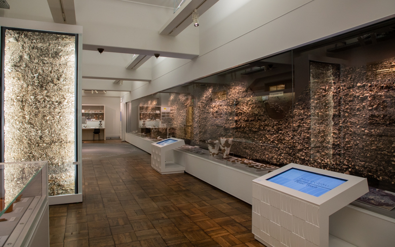 約15mの貝塚が展示されている3階の常設展示（有料）。原始・古代から江戸時代まで港区の歴史を辿ることができる。