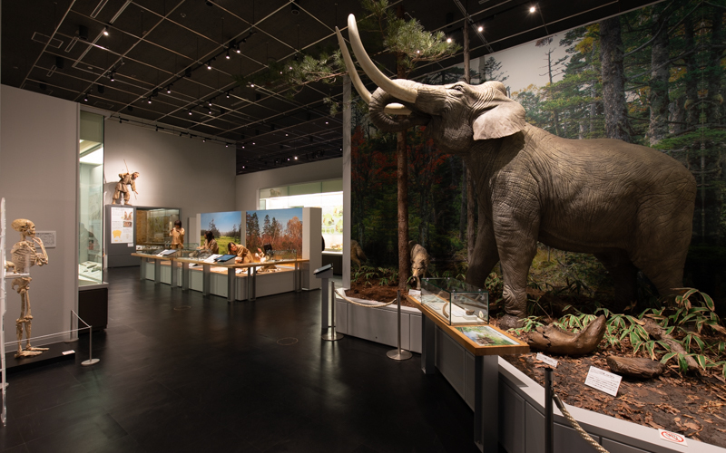 第1展示室では、先史・古代を生きた人々の様子や環境などとともに、近隣の国々との関わりなどについても紹介されている。 