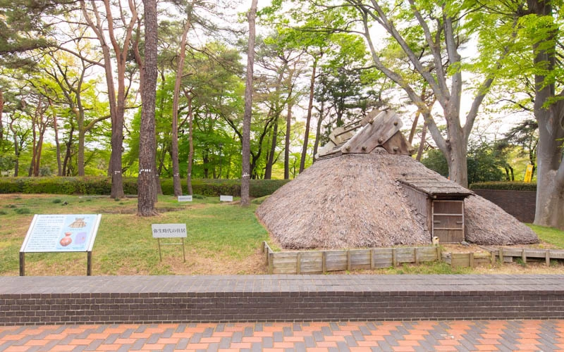入口前には復元された竪穴式住居が展示されている。