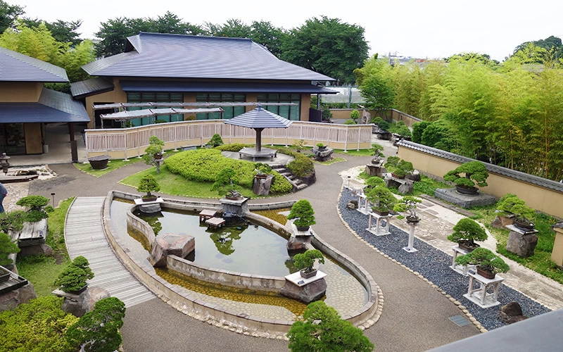盆栽庭園（屋外）は、常時60点の盆栽が展示されており、推定樹齢300年を超える作品も多数。									