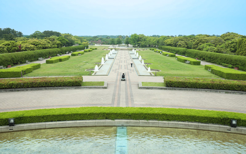 公園内の主要路は広くフラットなため、車椅子利用の方でも通行しやすくなっている。