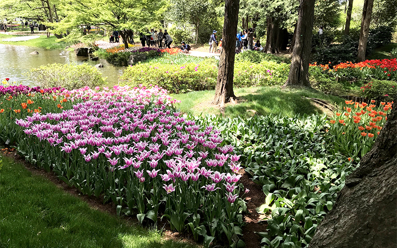 国営昭和記念公園のスポット施設詳細 介護アンテナ