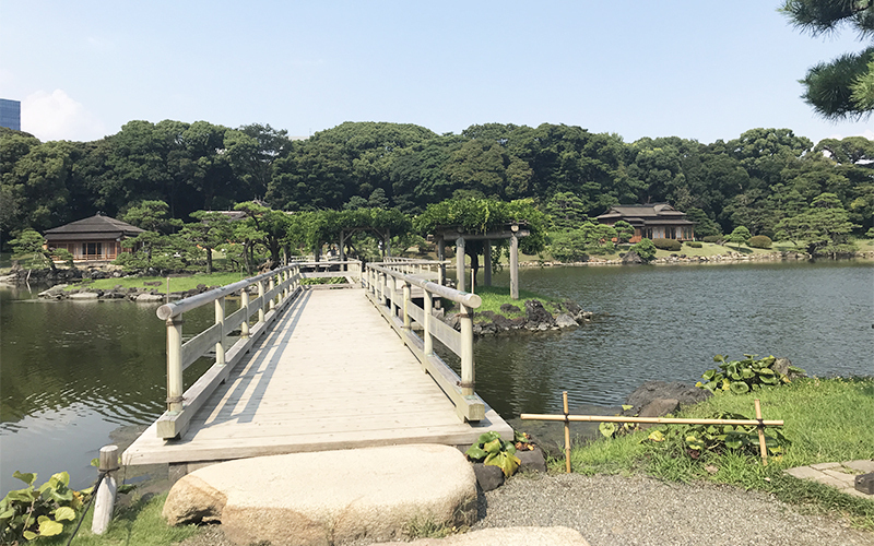 中島までを結ぶ「お伝い橋」は、手前に段差があるため車椅子で渡るのが困難。