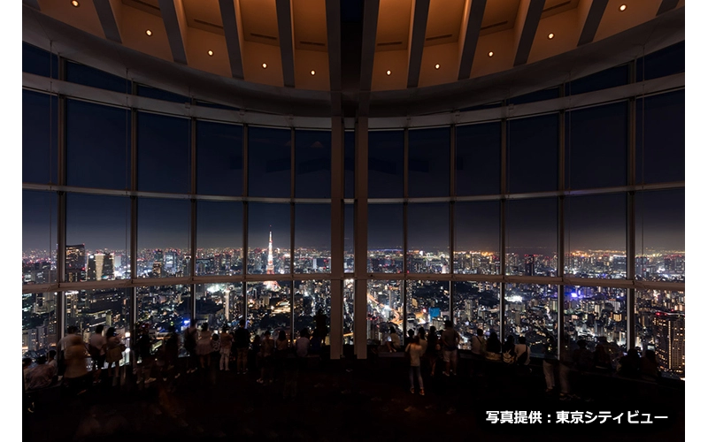 海抜250メートルの高さから都心の夜景を見ることができる貴重なスポットだ。