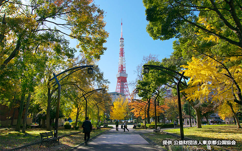 4号地は東京タワーが正面に見える撮影スポットだ。