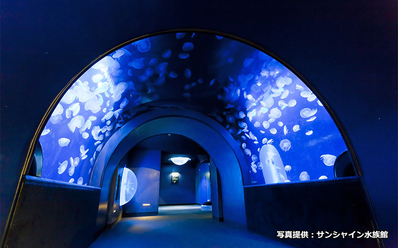 「ふわりうむ」はトンネル状の水槽からクラゲを見られる幻想的なエリア。