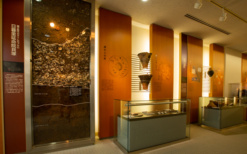 荒川区の歴史や文化が展示された常設展示室。入口付近では、縄文人のゴミ箱である貝塚のはぎ取標本が見られる。