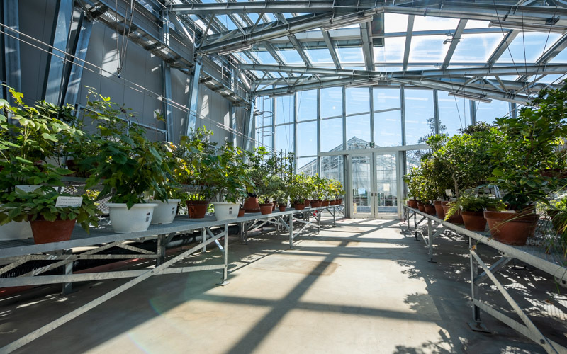 東京大学大学院理学系研究科附属植物園 小石川植物園 のスポット施設詳細 介護アンテナ