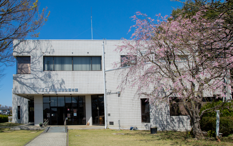 本館前にはシダレザクラが咲いている。受付や車椅子のレンタルは本館で行う。 