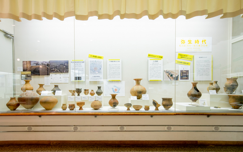 多くの土器が展示されており、時代によるデザインの違いなどを見比べることができる。
