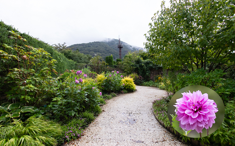 エントランスを抜けると続いている「ヨーロピアン・ガーデン」では、季節ごとの花や木々を楽しむことができる。