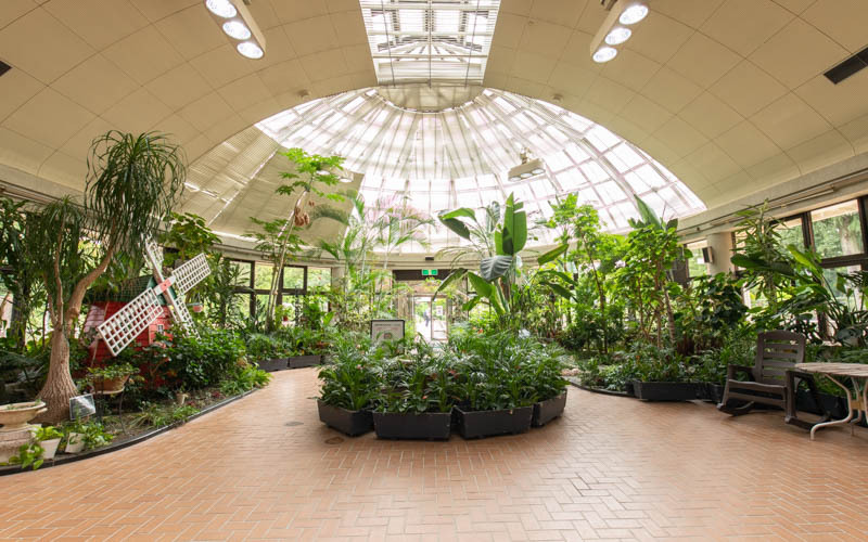 アトリウムやサニールームでは、自然光を採り込んだ明るい空間で花や緑に関係したさまざまな展示会を開催している。