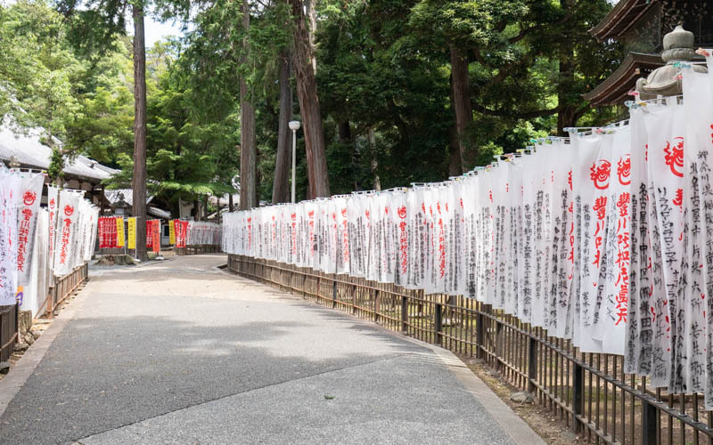 多くの方々の願いが込められた「千本幟」。通路は未舗装の箇所もあるので注意が必要。