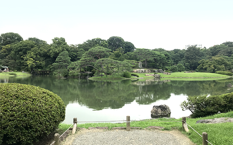 庭園中心にある大泉水と、妹山・背山。