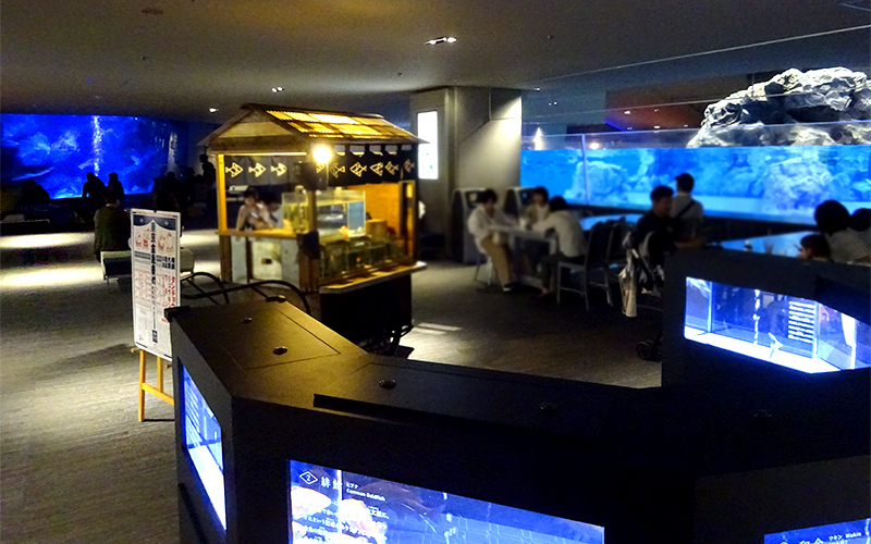 金魚を展示している「江戸リウム」は和をイメージしたデザイン。									
