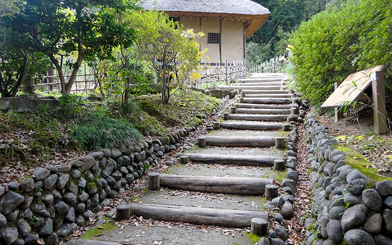 階段でしか上がれないエリアもあるので、車椅子の場合は「山下臨時口」から入場することをおすすめする。