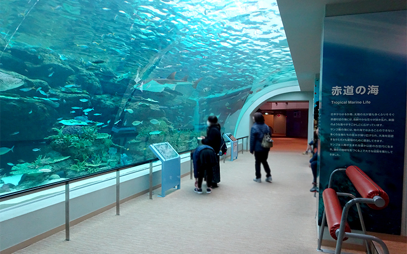 名古屋港水族館のスポット施設詳細 介護アンテナ 名古屋港水族館のスポット施設詳細 介護アンテナ