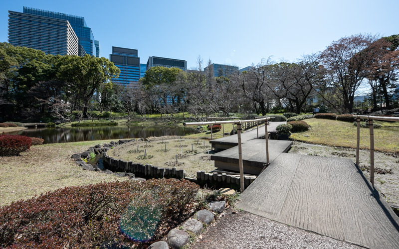 九代将軍家重の時代の庭園図面をもとに復元された日本庭園。道幅の狭い橋など一部車椅子での走行困難な場所がある。									