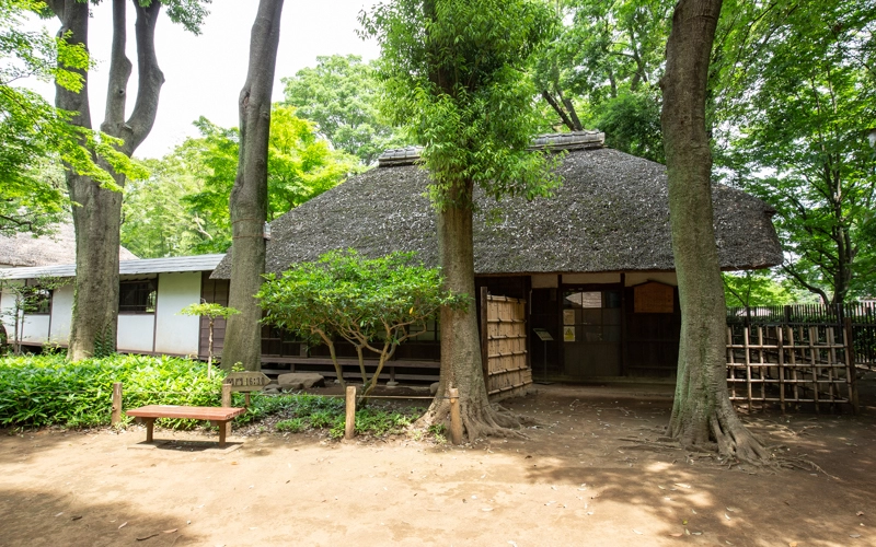 母屋の屋内通路を通ると「梅花書屋」と「秋水書院」を見学できる。									