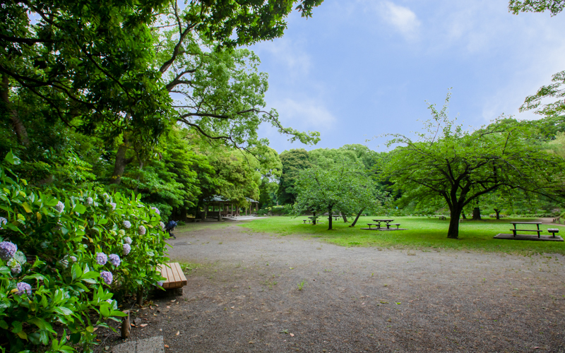 自由広場は四季折々の花を眺めながらベンチやテーブルで休憩できる。									