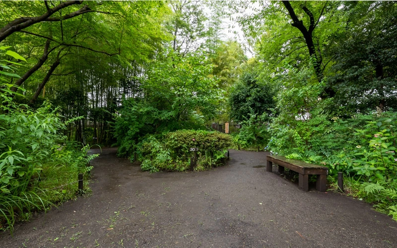 青々とした木々の間を散策することができる。園内の道は無舗装なため、雨上がりのぬかるみには注意が必要。									