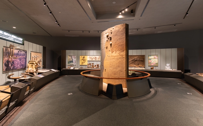 「原始Ⅰ」「原始Ⅱ」「古代」「中世」「近世」「近現代」の横浜の様子が展示されている。展示スペースは広々としており車椅子でもゆったりと見学することができる。