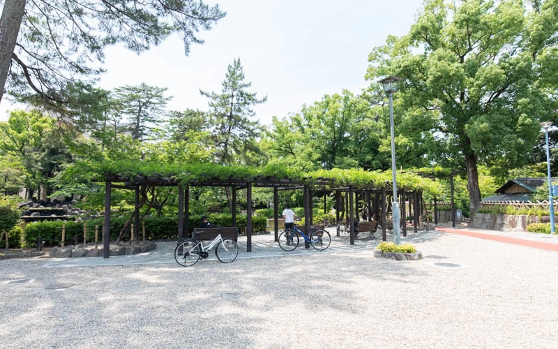 藤棚の下は舗装されているので、車椅子の方でもベンチ近くで藤を楽しむことができる。
