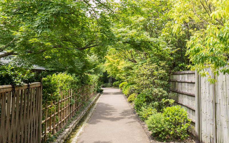 日差しが差し込む公園内の散策路は舗装がされており、車椅子の方でも安心して回ることができる。