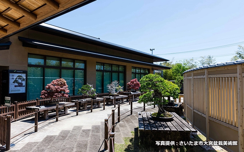 盆栽庭園は基本的に撮影禁止だが、一部撮影可能エリアもある。									