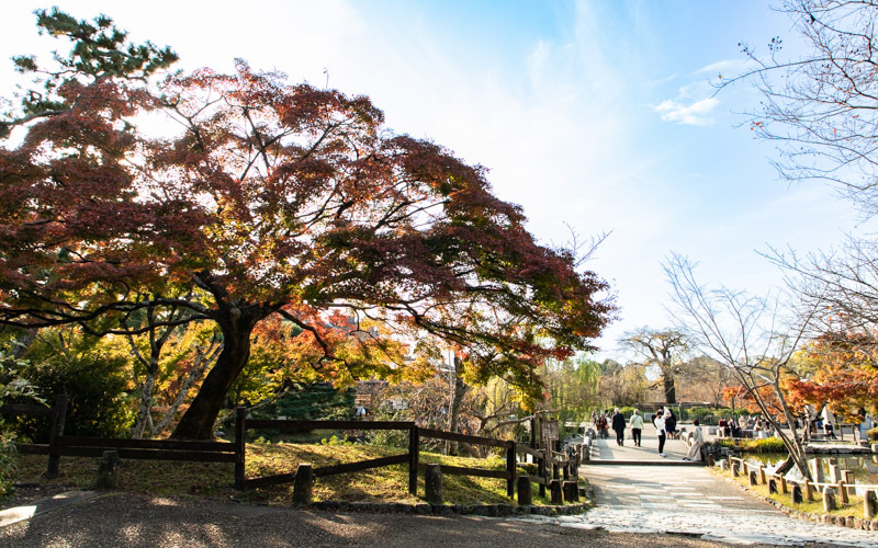 公園の主要路から東側の路面には段差や土の舗装路などもあるため注意が必要