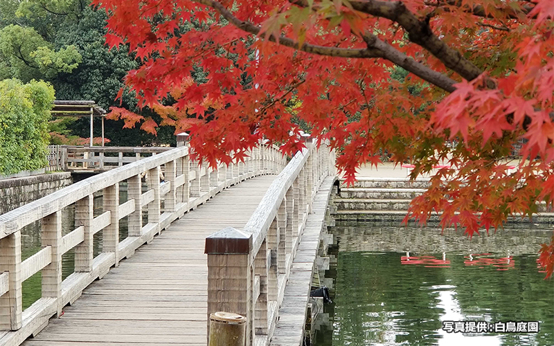 紅葉スポットとしても人気で秋が最もにぎわう。									