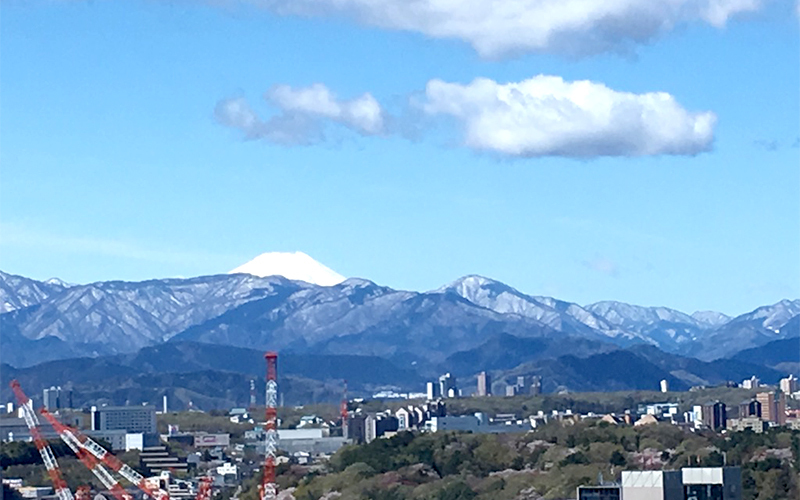 空気の澄んだ晴れた日は、富士山を望めることもある。	