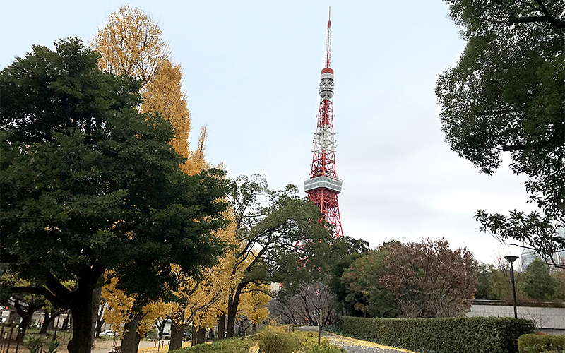 赤羽橋方面から見る、冬の芝公園17号地と東京タワーの景観。
