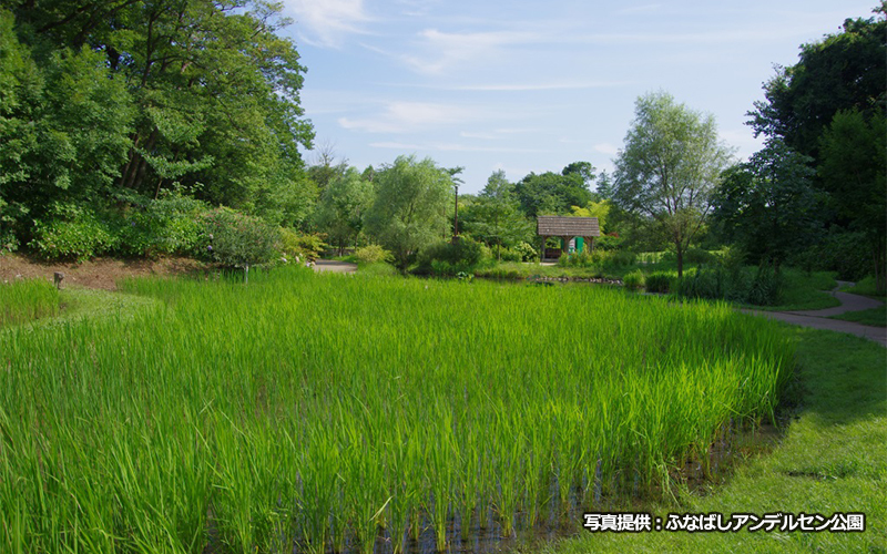 ふなばしアンデルセン公園のスポット施設詳細 介護アンテナ