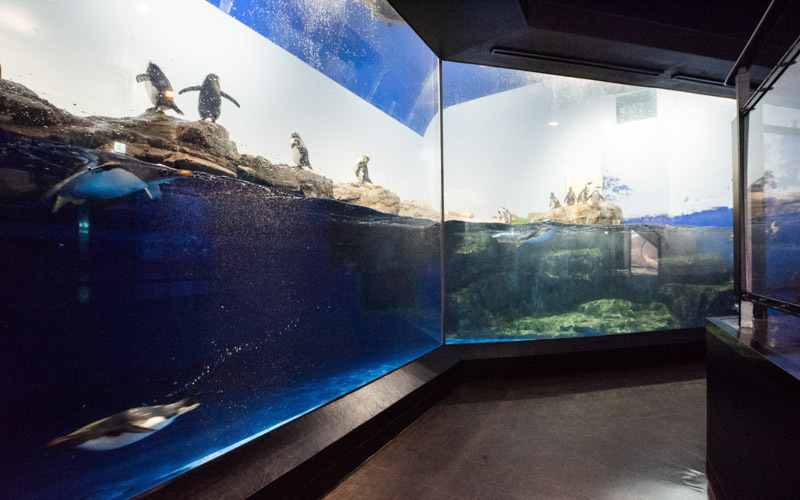 マクセル アクアパーク品川のスポット施設詳細 介護アンテナ