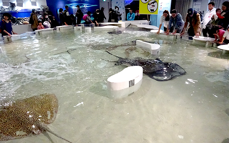 海遊館のスポット施設詳細 介護アンテナ 海遊館のスポット施設詳細 介護アンテナ