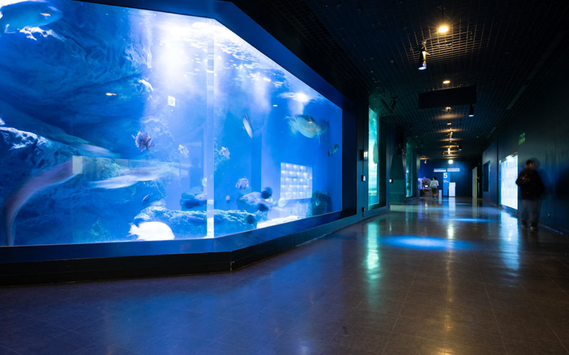 マクセル アクアパーク品川のスポット施設詳細 介護アンテナ