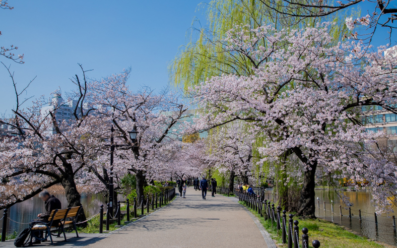 上野恩賜公園のスポット施設詳細 介護アンテナ 上野恩賜公園のスポット施設詳細 介護アンテナ