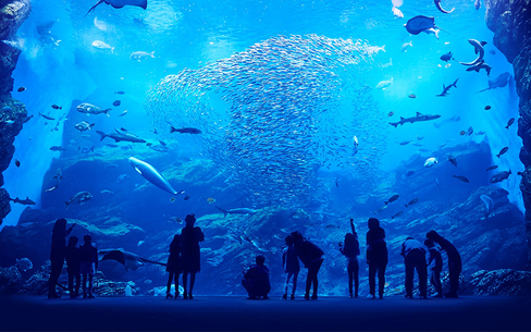 仙台うみの杜水族館のスポット施設詳細