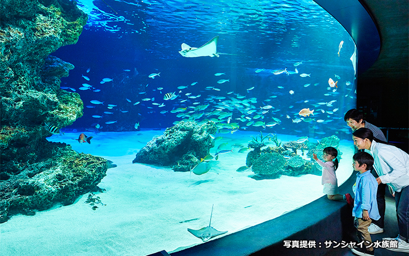 水族館 サンシャイン 2021年 サンシャイン水族館