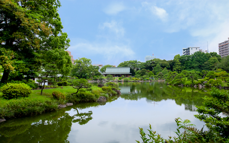 明治の代表的な「回遊式林庭園」。水生生物や野鳥などを見ることができる。									