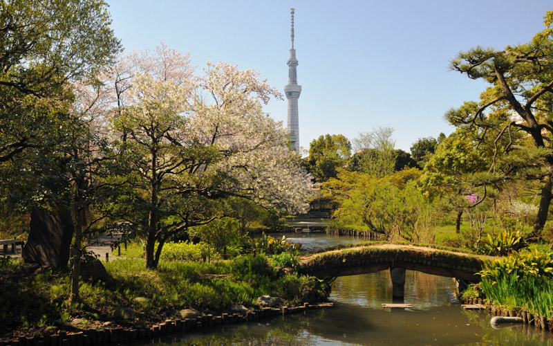 園内では四季折々の草花を観賞することができる。提供：公益財団法人東京都公園協会									